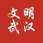 文明武汉ico