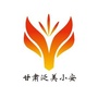 甘肃泛美小安ico