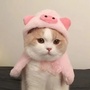 娄底趣生活ico