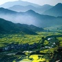 屯溪区农业农村局ico