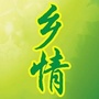 你不知道的邻村事ico