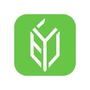每日心语精选ico