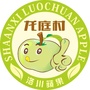 龙庭村ico
