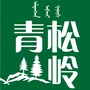 青松岭森林康养公众号ico