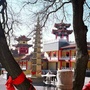 天津市荐福观音寺公众号ico