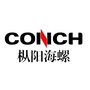 枞阳海螺ico
