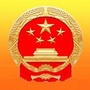 沉抗镇人大ico