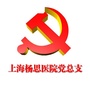 上海杨思医院党总支ico