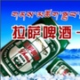 圣地圣水啤酒公众号ico