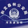 和龙河东派出所ico