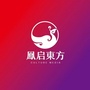 鳯起古典礼乐ico