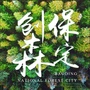 保定创森ico