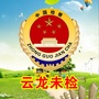 云龙未检ico