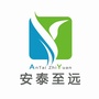 安泰至远ico
