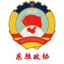 东胜政协ico