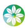 走出去泰国财税ico