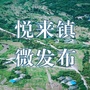 悦来镇微发布ico