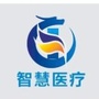 濮阳智慧健康ico