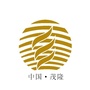 茂隆中孚公众号ico