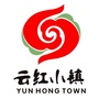 云红小镇ico