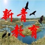 新青教育ico