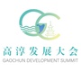 高淳发展大会ico