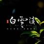 白云滇ico
