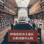 小黑河镇中心校ico