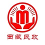 西藏民政发布ico