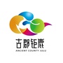 巨鹿县行政审批局ico