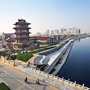 大运狮城ico