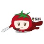 青麦番茄将ico