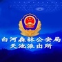 白河森林公安局天池派出所ico