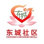朝阳街道东城社区ico