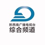 黔西南看点ico