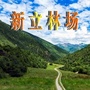 新立林场公众号ico