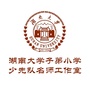 湖南大学子弟小学少先队ico