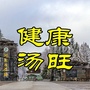 健康汤旺ico