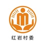 普顺红岩阳光村务ico
