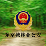 东京城林业地区公安局公众号ico