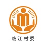 杠家临江阳光村务ico