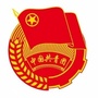 龙泉驿东篱村青年ico