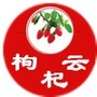 枸杞云ico