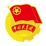江西共青团ico