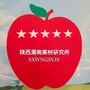 陕西渭南果树研究所ico