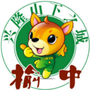 榆中发布ico