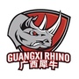 广西威壮篮球俱乐部公众号ico