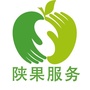 陕西果业服务中心公众号ico