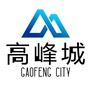 高峰城ico