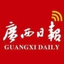 广西日报公众号ico